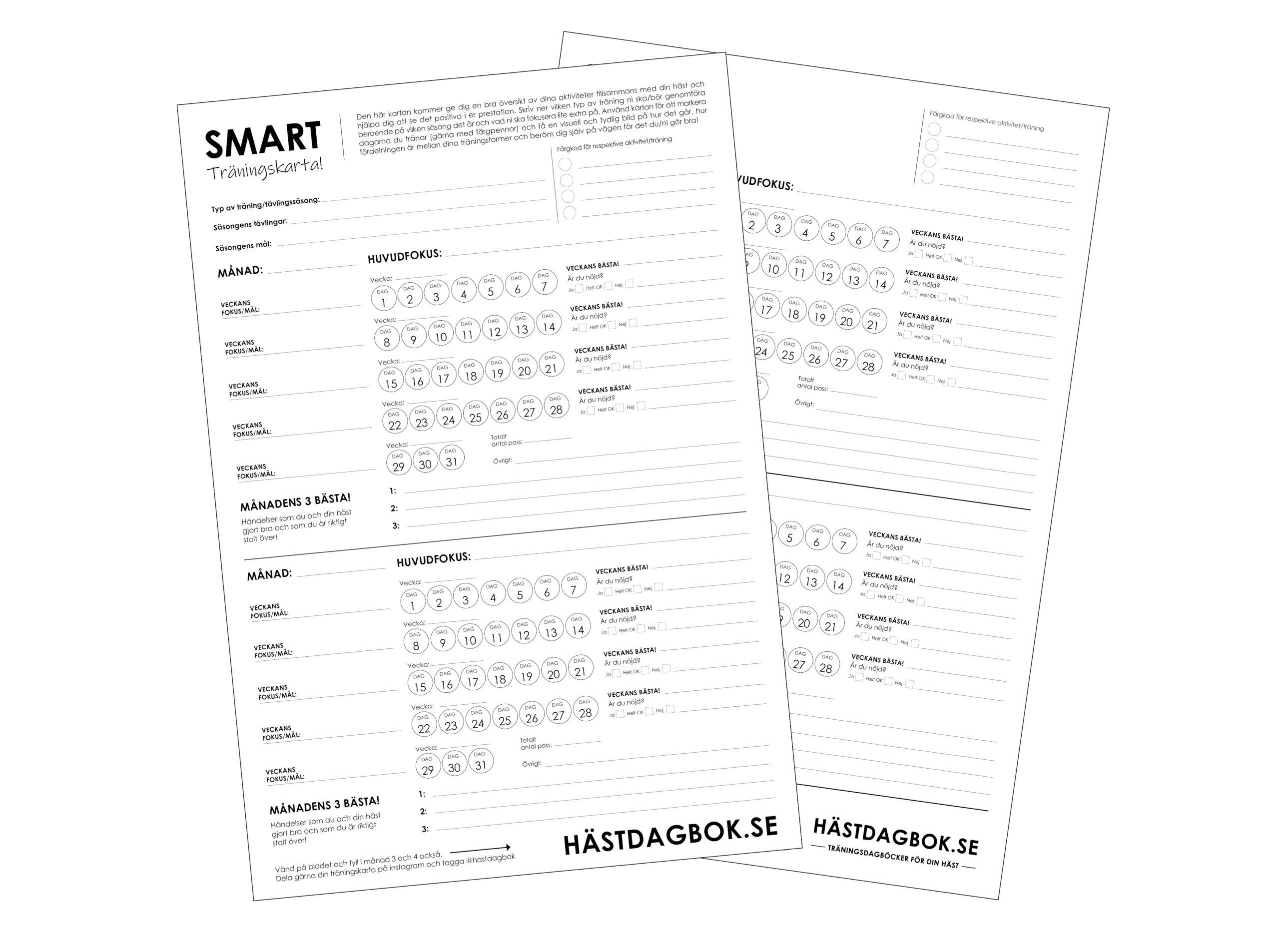 Träningskarta för dig och din häst under 4 månader, fram och baksida.