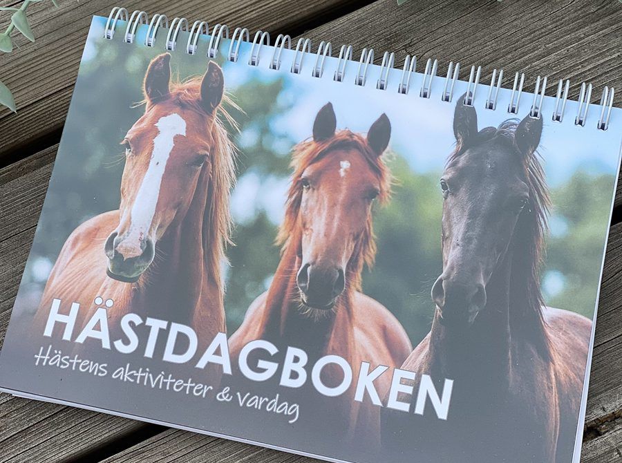 Bild på tre hästar som sitter på omslaget till Hästdagboken