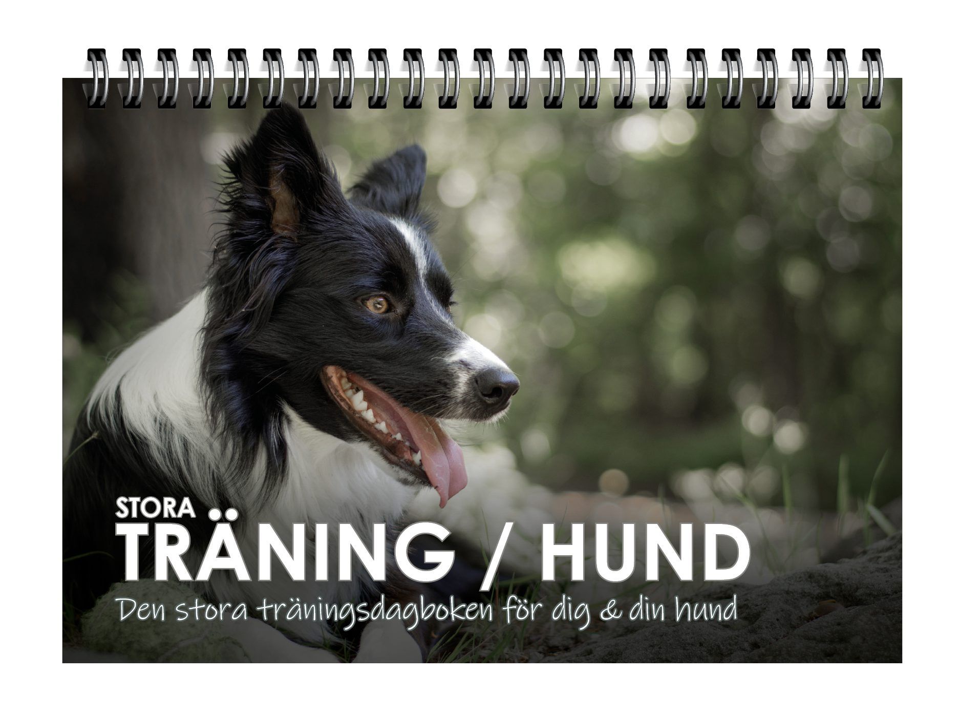 Stora Träning hund, omslag