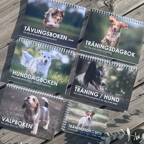 Miljöbild hund