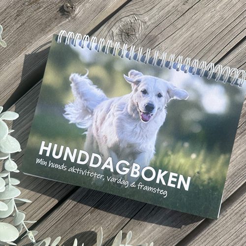 Hunddagboken