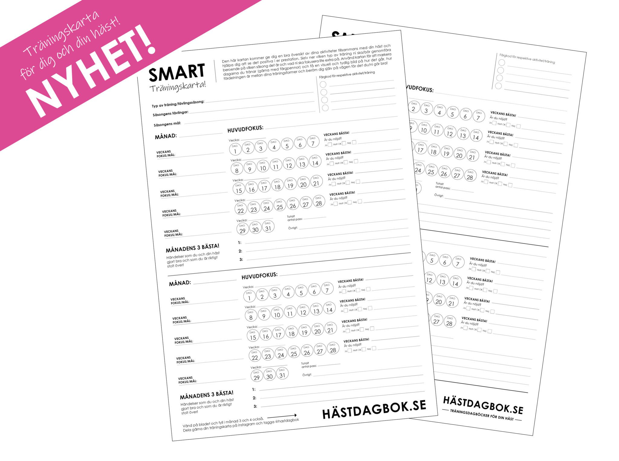 Träningskarta för dig och din häst eller hund. Köp idag!
